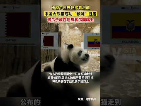 万博体育官,方网站,资讯,万博体育官方网站,体育赛事,线上投注,足球赛事,篮球赛事,体育直播,电竞赛事,体育资讯,在线观看体育,体育比分,体育数据分析